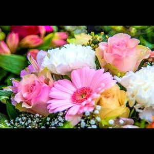 Meet your Posher, Alma